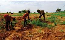 Interventions d’urgence: Des fonds pour la Mauritanie Interventions d’urgence: Des fonds pour la Mauritanie