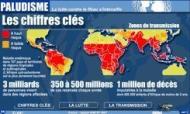 Le 'sommet du paludisme' débloque 3,5 milliards de dollars