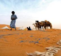 Point Afrique renonce à son vol mauritanien Point Afrique renonce à son vol mauritanien