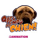 BONJOUR L’ AFRIQUE | UN TEMPS DE CHIEN* Par Demba NDIAYE BONJOUR L’ AFRIQUE | UN TEMPS DE CHIEN* Par Demba NDIAYE