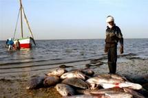 Bataille internationale autour du poisson mauritanien Bataille internationale autour du poisson mauritanien