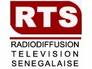 Pour un égal accès des langues nationales à la Rts : Une centaine de Sénégalais manifestent devant l’Ambassade du Sénégal à Paris