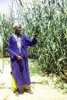 Nouakchott annonce de bonnes perspectives agricoles Nouakchott annonce de bonnes perspectives agricoles