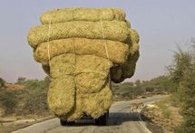 La Libye au secours des ONG caritatives mauritaniennes La Libye au secours des ONG caritatives mauritaniennes