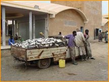 Afrique de l'ouest: le réchauffement climatique menace la pêche Afrique de l'ouest: le réchauffement climatique menace la pêche