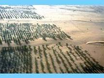 Projet de muraille verte en Afrique: La Mauritanie laissée en rade. Projet de muraille verte en Afrique: La Mauritanie laissée en rade.