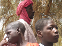 C.C.R.M.S.M : Mise au Point : la reprise des rapatriements des réfugiés mauritaniens du Sénégal est l’arbre qui veut cacher la forêt C.C.R.M.S.M : Mise au Point : la reprise des rapatriements des réfugiés mauritaniens du Sénégal est l’arbre qui veut cacher la forêt