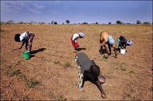 L'argent des immigrés se fait rare dans les campagnes du Sénégal L'argent des immigrés se fait rare dans les campagnes du Sénégal