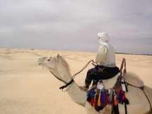 Fatigué de vouloir être arabe ! Fatigué de vouloir être arabe !