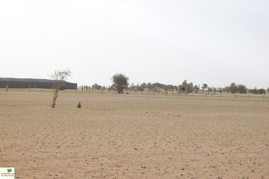 En peu de temps, le Général limogé est devenu l'un des hommes les plus riches de Mauritanie (images) En peu de temps, le Général limogé est devenu l'un des hommes les plus riches de Mauritanie (images)