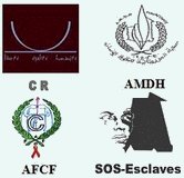 Enfin, la norme au dessus de la contrainte ! Déclaration conjointe Enfin, la norme au dessus de la contrainte ! Déclaration conjointe
