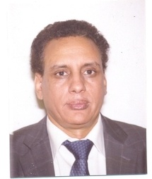 Les deux constitutions, par le Professeur Mohamed Mahmoud O. Mohamed Saleh