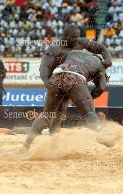 Sénégal/Lutte - Yékini triomphe de Gris Bordeaux et consolide sa suprématie (reportage photos) Sénégal/Lutte - Yékini triomphe de Gris Bordeaux et consolide sa suprématie (reportage photos)