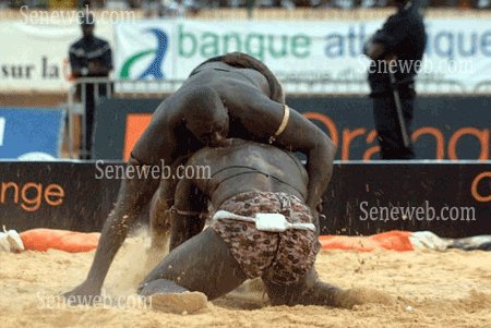 Sénégal/Lutte - Yékini triomphe de Gris Bordeaux et consolide sa suprématie (reportage photos) Sénégal/Lutte - Yékini triomphe de Gris Bordeaux et consolide sa suprématie (reportage photos)