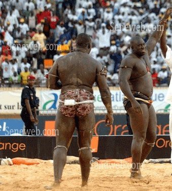 Sénégal/Lutte - Yékini triomphe de Gris Bordeaux et consolide sa suprématie (reportage photos) Sénégal/Lutte - Yékini triomphe de Gris Bordeaux et consolide sa suprématie (reportage photos)