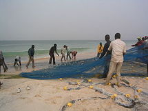 Des journalistes mauritaniens formés à la protection de l’environnement Des journalistes mauritaniens formés à la protection de l’environnement