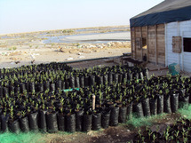 De l’eau de mer pour reboiser Nouakchott : Est-ce possible ?