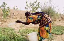 La Mauritanie se dote d'un Fonds d'intervention pour l'environnement La Mauritanie se dote d'un Fonds d'intervention pour l'environnement