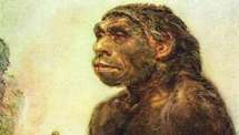 Évolution : Neandertal n'a pas fait souche au sud du Sahara Évolution : Neandertal n'a pas fait souche au sud du Sahara