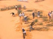 La Mauritanie, un exemple dans la lutte contre la désertification