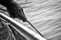 La CSRP préconise le renforcement de la protection de la biodiversité