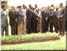 Le président Ould Abdel Aziz lance le défi d'une forêt autour de Nouakchott pour contrecarrer l’avancée du désert.