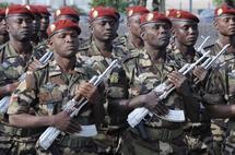 Paras nigériens Paras nigériens
