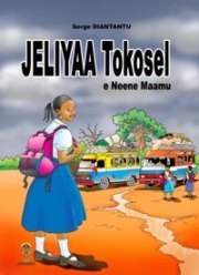 PULAAGU.COM - "JEKIYAA Tokosel" - PARTICIPEZ AU SONDAGE - NDOKKEE MIIJOOJI MON