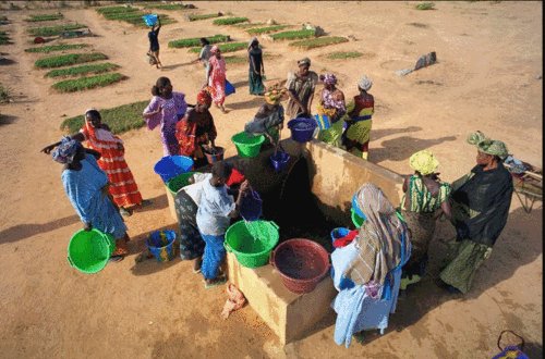 Plaidoyer pour l'accès des femmes à l'eau et à la terre dans le Sahel