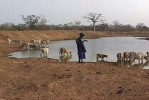 Mauritanie: la fièvre de la vallée du Rift a fait des morts dans le Nord Mauritanie: la fièvre de la vallée du Rift a fait des morts dans le Nord