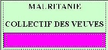 COLLECTIF DES VEUVES COLLECTIF DES VEUVES