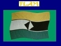 SENEGAL-MAURITANIE-FLAM