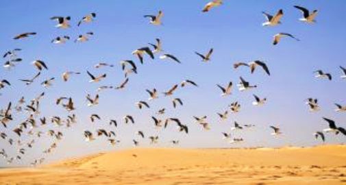 Dialogue national en Mauritanie: voyage dans l'Île de la Tristesse Dialogue national en Mauritanie: voyage dans l'Île de la Tristesse