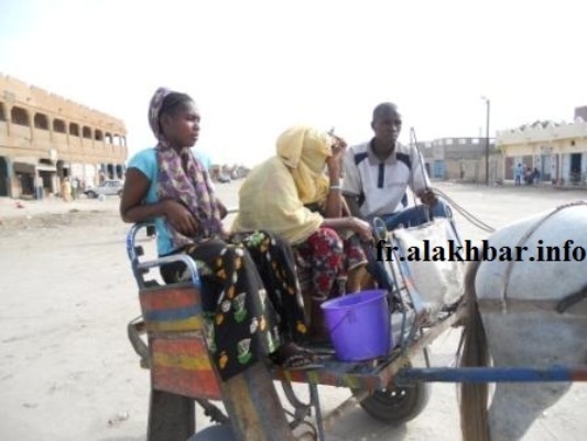 Nouakchott : La charrette moins chère pour se déplacer Nouakchott : La charrette moins chère pour se déplacer