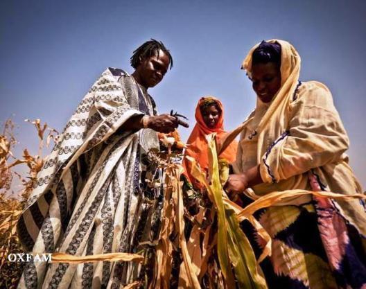 Baba Maal durant sa visite au Gorgol (Photo: Oxfam) Baba Maal durant sa visite au Gorgol (Photo: Oxfam)