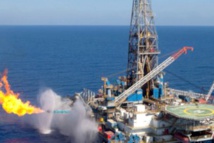 Mauritanie : Kosmos découvre un important champ gazier de 50 billions de pieds cube de gaz Mauritanie : Kosmos découvre un important champ gazier de 50 billions de pieds cube de gaz