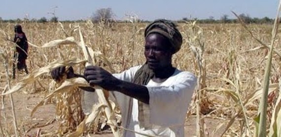 Sahel : l'ONU lance un appel contre "l'indifférence générale" Sahel : l'ONU lance un appel contre "l'indifférence générale"