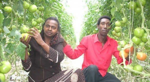 Daniel Minani et sa compagne Madeleine Nyandwi dans leur potager, au Québec. Daniel Minani et sa compagne Madeleine Nyandwi dans leur potager, au Québec.
