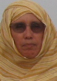 Attribution du prix français des droits de l’homme à l’ONG mauritanienne des « Femmes Mères de Famille