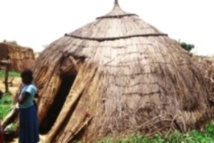 La suite du témoignage d’un jeune peul déporté au Sénégal: La plaie s’est-elle refermée ? (4) La suite du témoignage d’un jeune peul déporté au Sénégal: La plaie s’est-elle refermée ? (4)