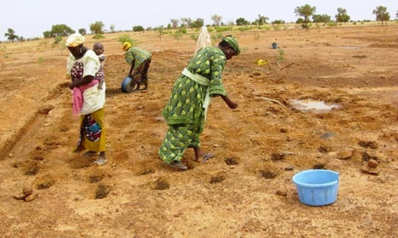 Hommage à la jeune fille et à la femme africaines, tant pour leur esprit d’endurance que pour les sacrifices consentis par elles. Hommage à la jeune fille et à la femme africaines, tant pour leur esprit d’endurance que pour les sacrifices consentis par elles.