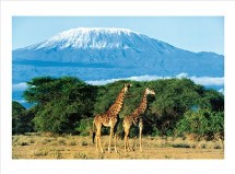 L'Afrique, continent le plus vulnérable au changement climatique L'Afrique, continent le plus vulnérable au changement climatique