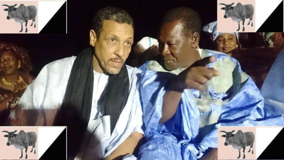 Message de Ibrahima Moctar Sarr, 9 juin 2014 (photos du meeting de Nouadhibou) Message de Ibrahima Moctar Sarr, 9 juin 2014 (photos du meeting de Nouadhibou)