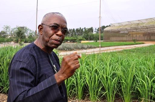 Le père Godfrey Nzamujo, directeur de la ferme bio Songhaï, à Porto-Novo Le père Godfrey Nzamujo, directeur de la ferme bio Songhaï, à Porto-Novo