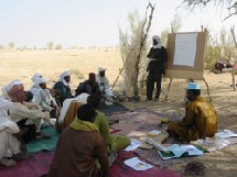 SÉNÉGAL: Pour de nouveaux programmes d'enseignement dans les langues locales SÉNÉGAL: Pour de nouveaux programmes d'enseignement dans les langues locales