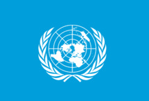 Observations finales concernant le rapport soumis  par la Mauritanie en application de l’article 29 (par. 1)  de la Convention *