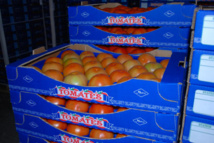 Hausse des exportations marocaines vers la Mauritanie Hausse des exportations marocaines vers la Mauritanie