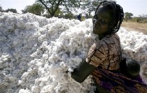 La croissance africaine en phase avec le reste du monde La croissance africaine en phase avec le reste du monde