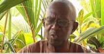 Décès du professeur Amady Aly Dieng : Une bibliothèque s'effondre ! Décès du professeur Amady Aly Dieng : Une bibliothèque s'effondre !