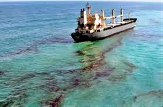 Mauritanie : Catastrophe écologique, les dessous d’une situation hors contrôle Mauritanie : Catastrophe écologique, les dessous d’une situation hors contrôle